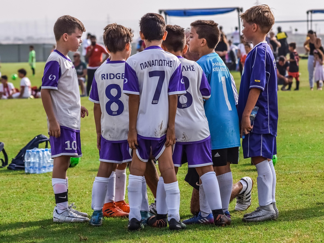 如何评估法律对技术支持辅助的管理 