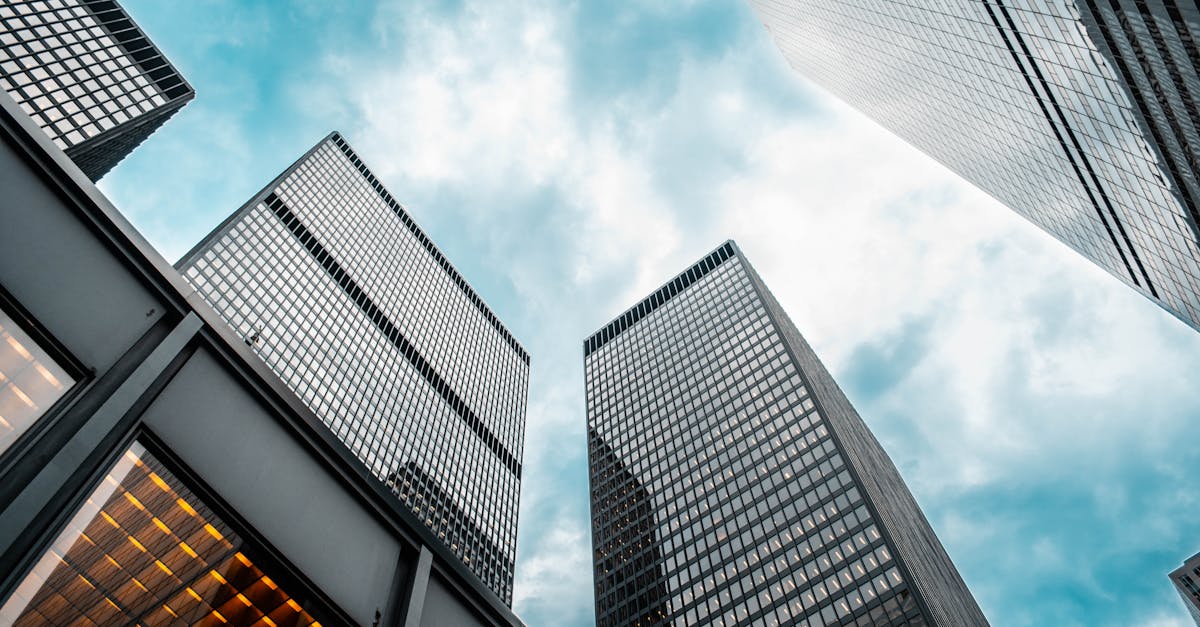 如何利用网站文章引用来提高SEO排名