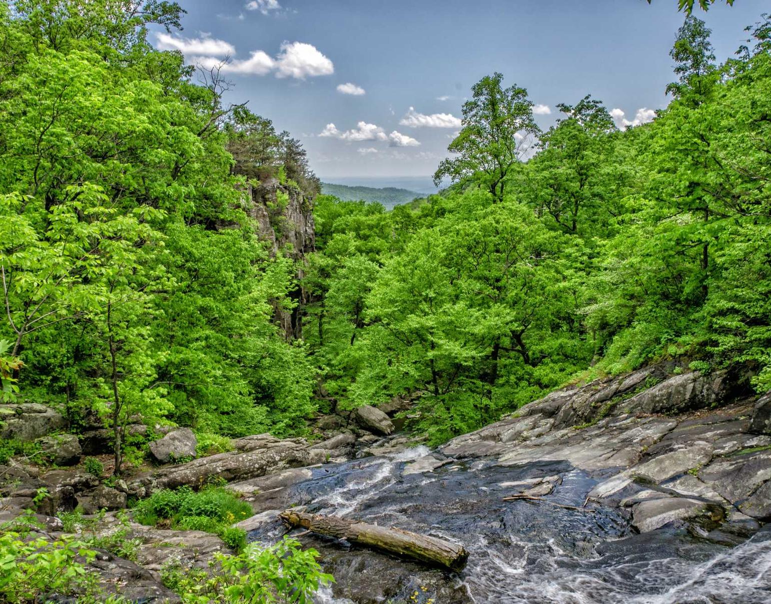 伊对实名账号：乐橙app详情下载教程