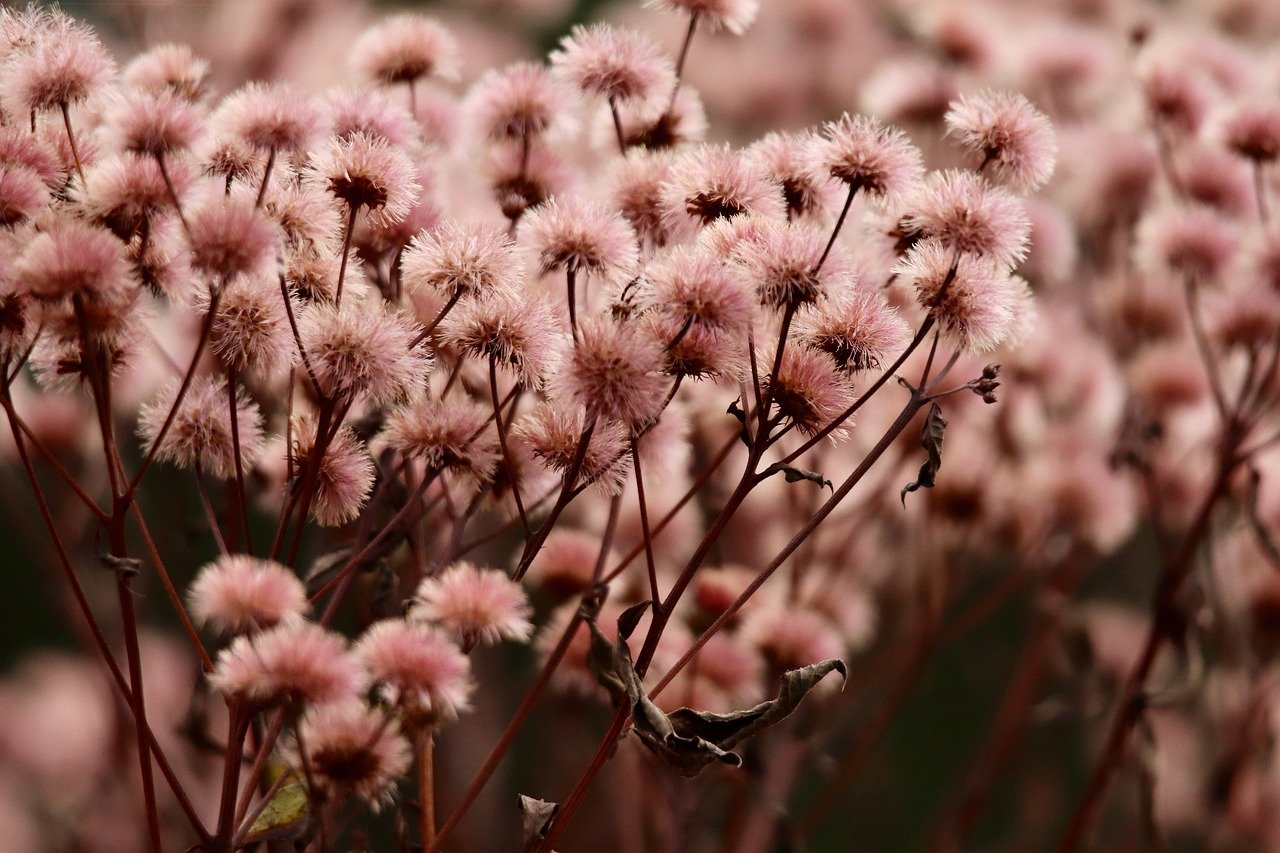 敢达争锋对决：江苏物流代理有哪些平台