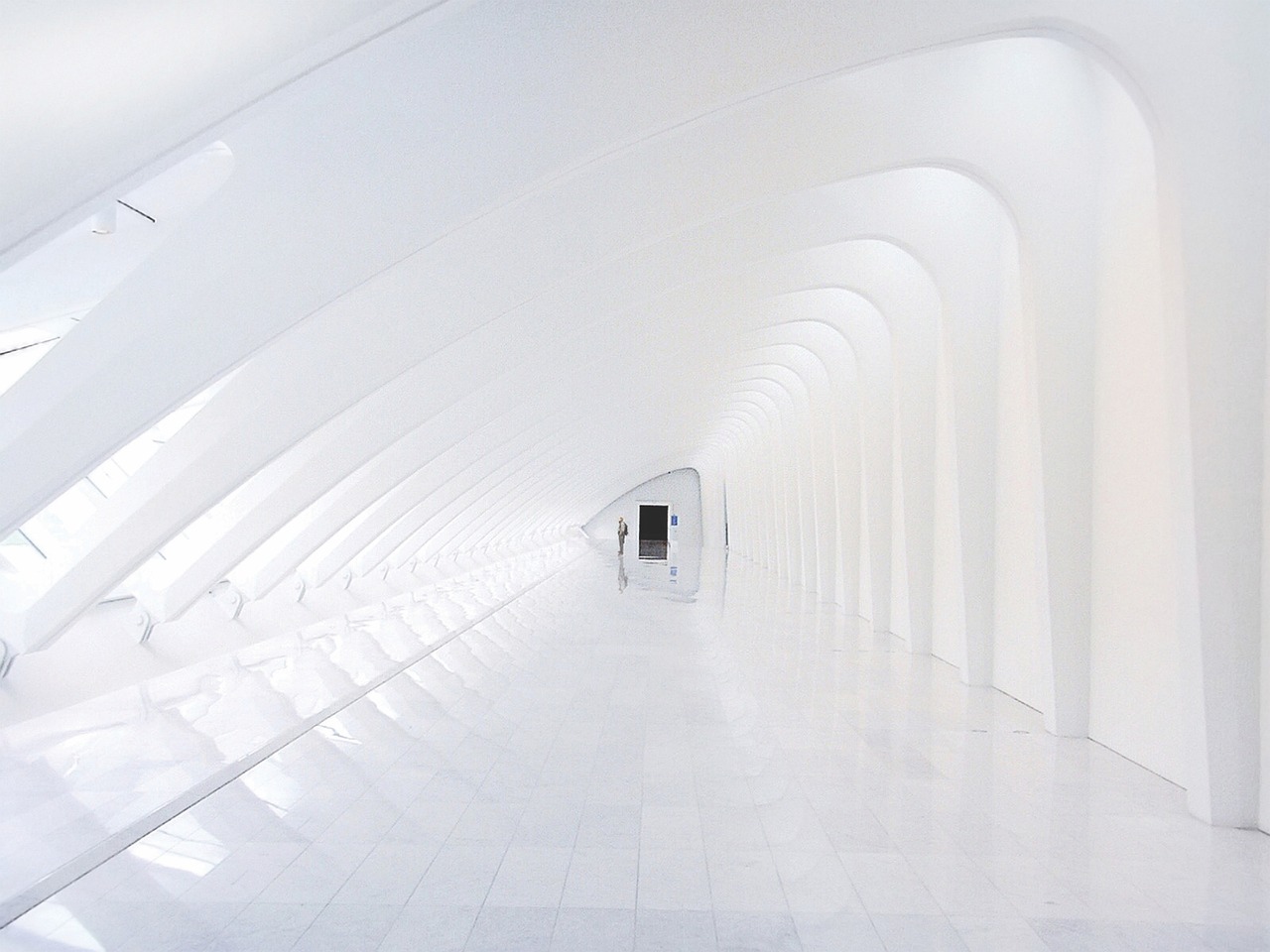 小鸟云实名账号:详情下载教程备用金详情下载教程APP