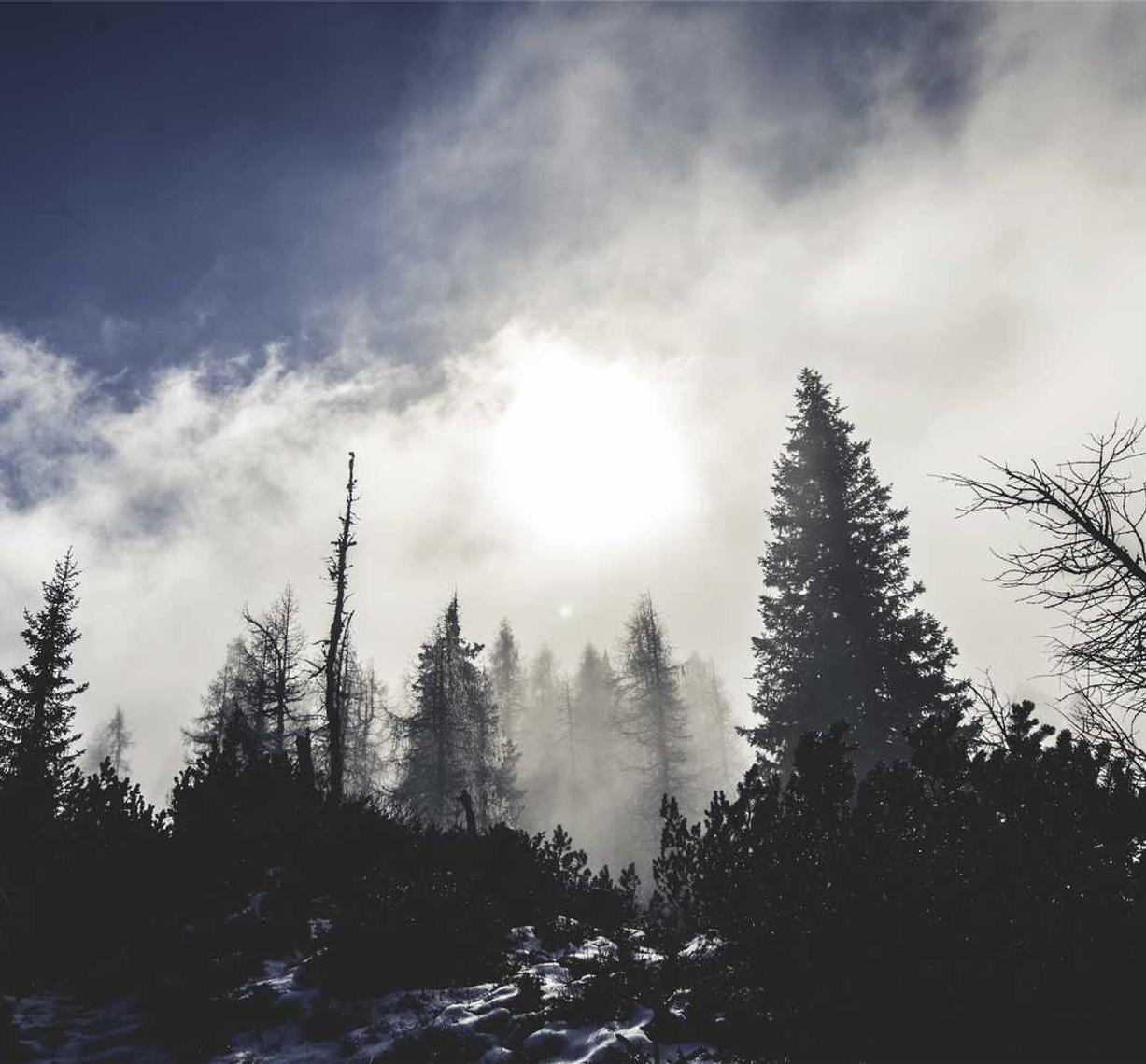 出各种微信号:彩八app详情下载教程