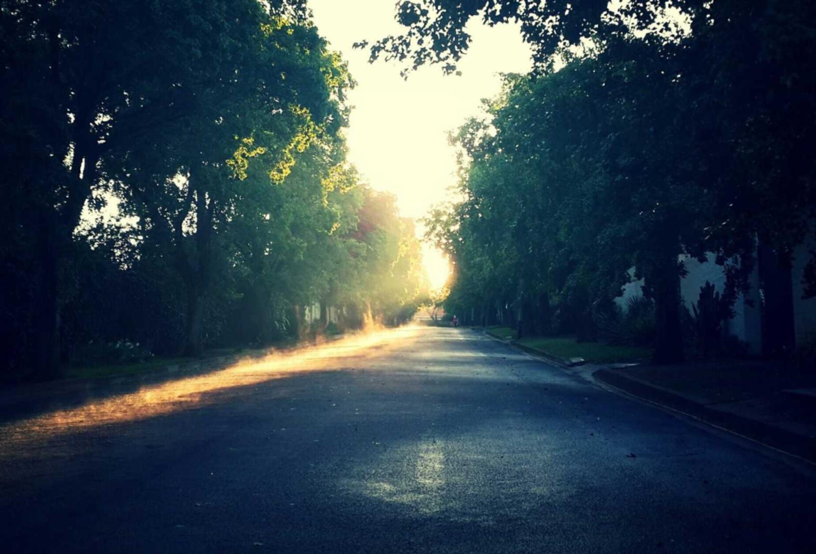 SEO排名因素:网站访问量和网站响应速度