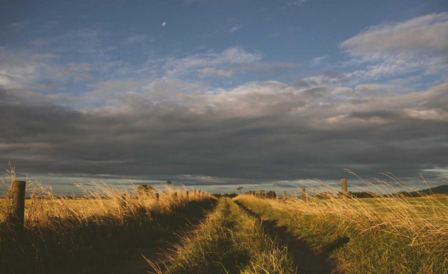 如何使用数据分析提高您的SEO