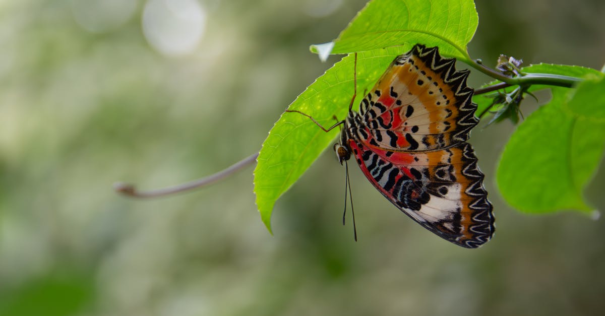提高服务器安全性，守护您的网站和数据安全！