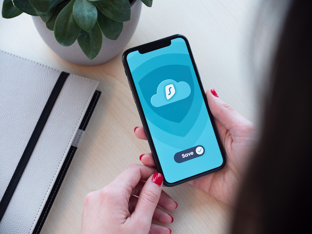 云烟百味人生：蛏子哪个平台购买的