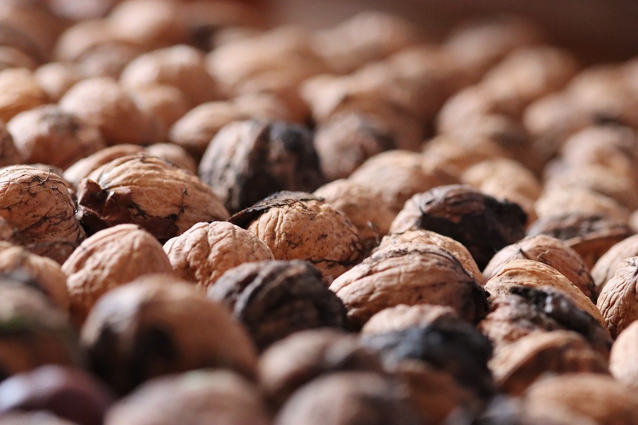 技术支持与游戏的交互方式中有哪些共存关系？