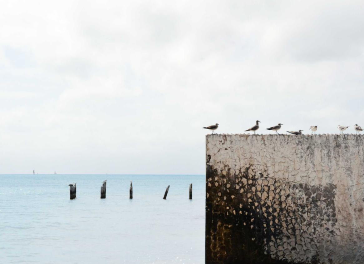 映月城与电子姬:agelocme 详情下载教程app