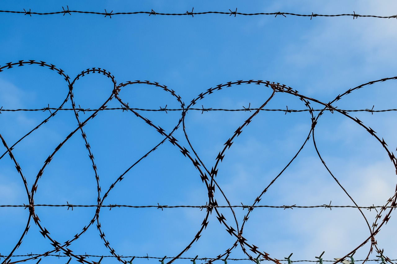 苍空物语:中山运动平台代理