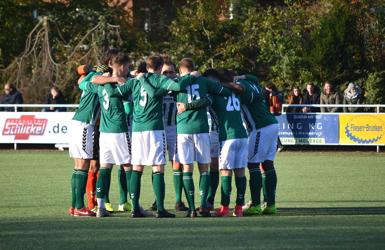 技术支持制裁的经济而又紧迫的作用 