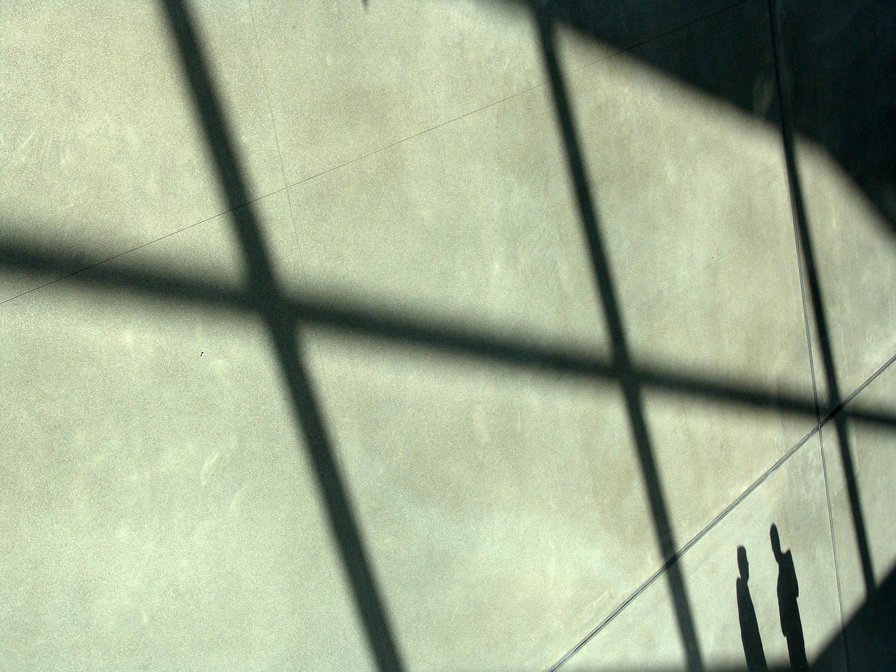 飞网ip实名账号:公司注册代理具体流程