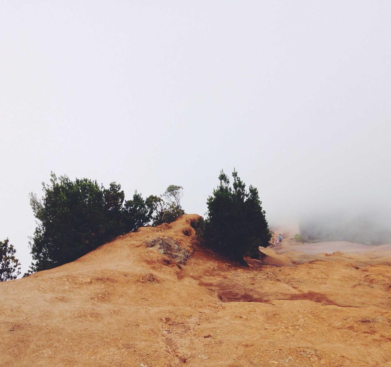 亿速云实名账号:全本免费快读小说app详情下载教程